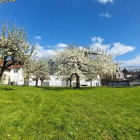 Apartment Zur Hofreite 5 Moerlenbach