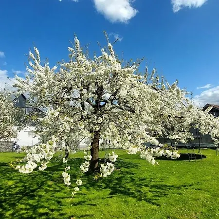 Zur Hofreite 5 Moerlenbach