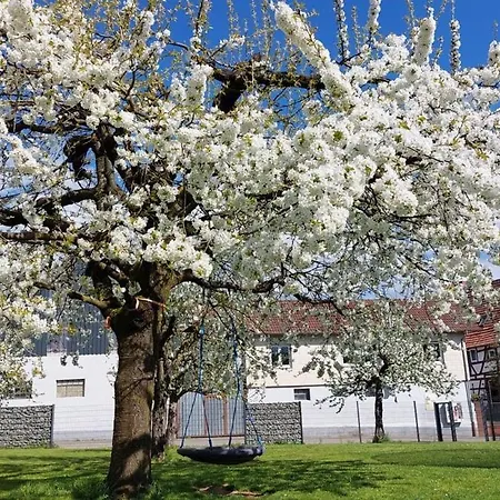 Zur Hofreite 5