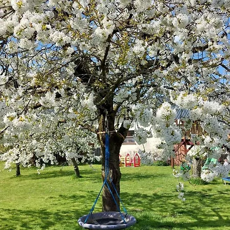 Appartamento Zur Hofreite 5